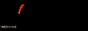 ^dark Masters^